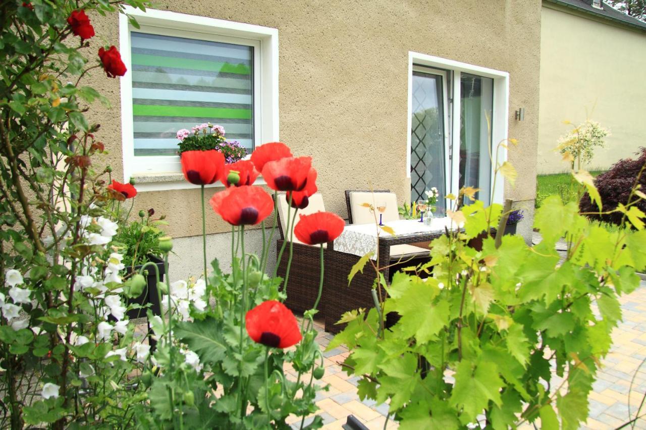 Ferienwohnung Haus Felix Bad Elster Εξωτερικό φωτογραφία